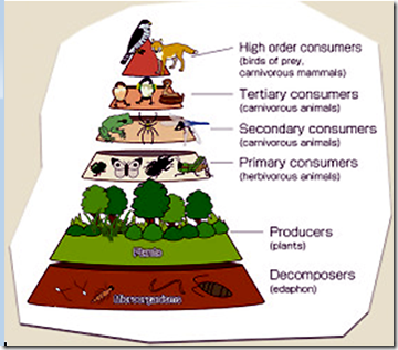 Encouraging Biodiversity | MarysBlog